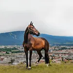 Hotel Tourist Farm Frost Maribor