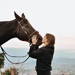 Tourist Farm Frost *