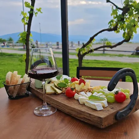 Tourist Farm Frost Hotel