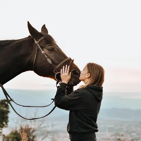 Tourist Farm Frost *