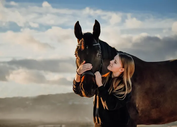 Hotel Tourist Farm Frost *