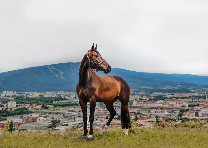 Hotel Tourist Farm Frost Maribor
