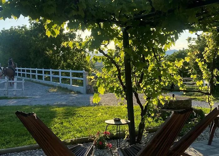 Tourist Farm Frost *