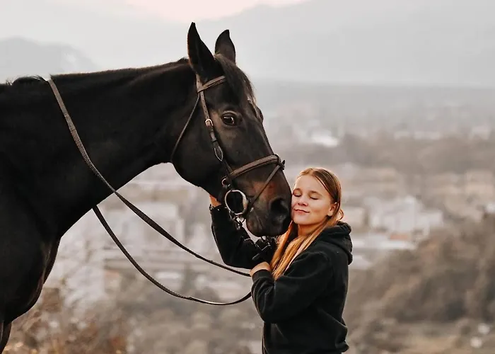 Tourist Farm Frost * Maribor