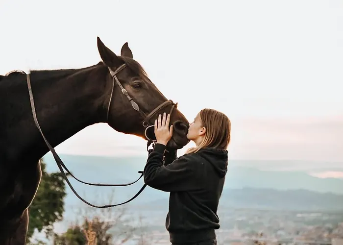 Tourist Farm Frost *
